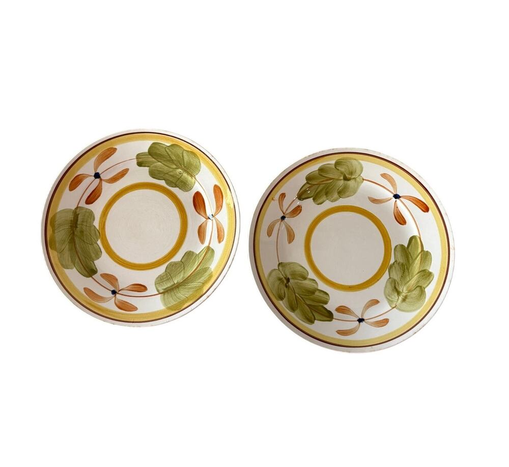Vintage Corona Majolican Hand Painted Japan 10” Floral Dinner Plates Set of 2